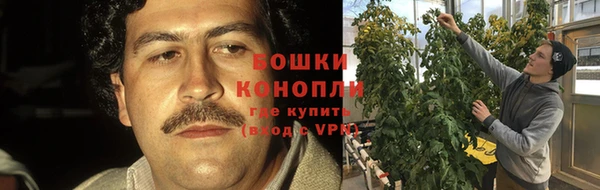мет Богданович