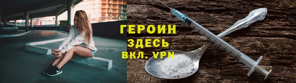 индика Бородино