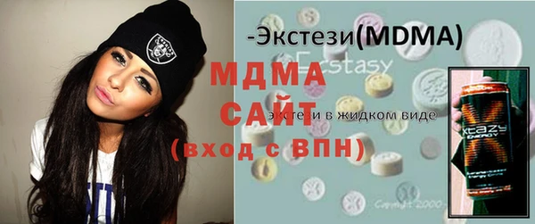 индика Бородино