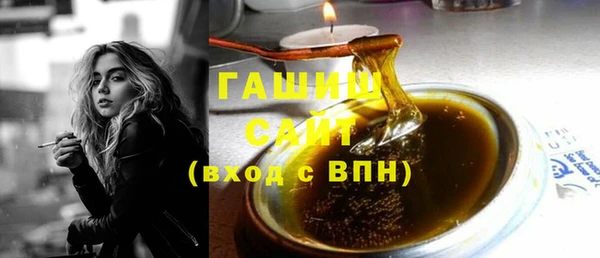 индика Бородино
