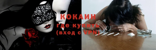 индика Бородино