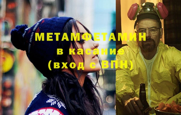 индика Бородино
