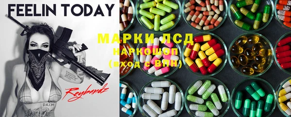 ПСИЛОЦИБИНОВЫЕ ГРИБЫ Грязи