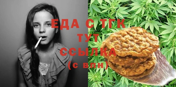 индика Бородино