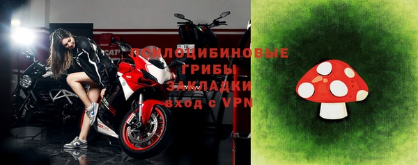 индика Бородино
