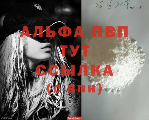 индика Бородино