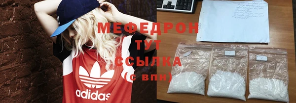 индика Бородино