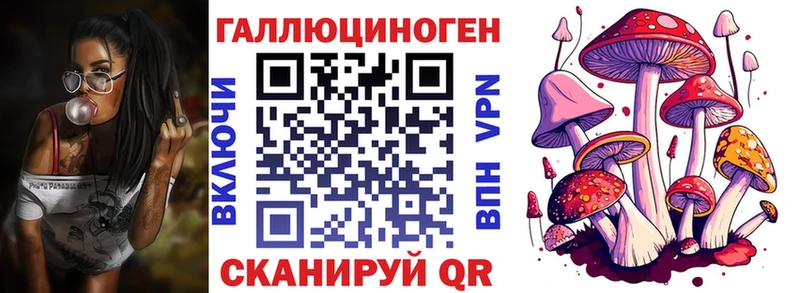 omg онион  Верхняя Пышма  Галлюциногенные грибы ЛСД  наркота 